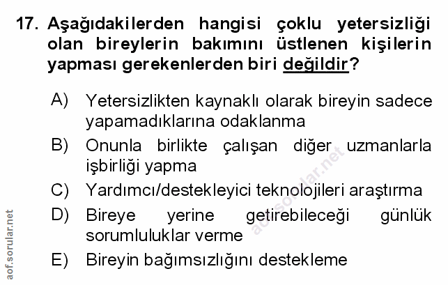 Soru 17