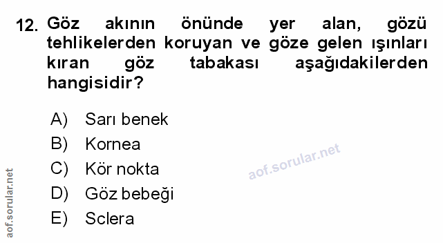 Soru 12