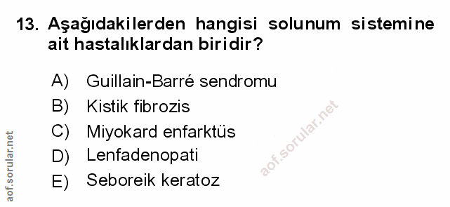 Soru 13