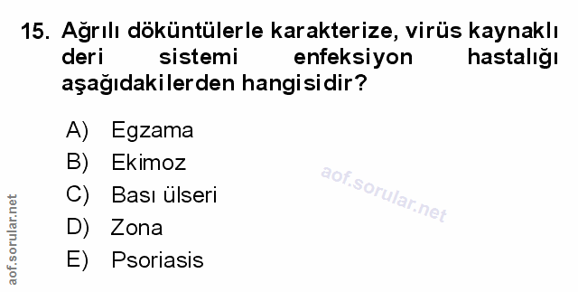 Soru 15