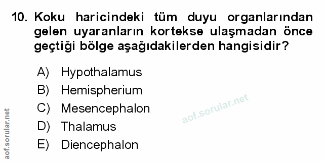 Soru 10