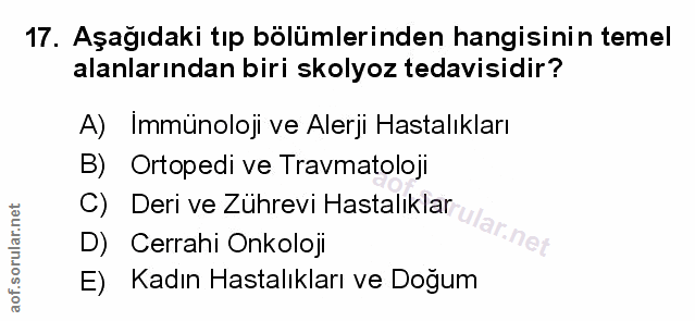 Soru 17