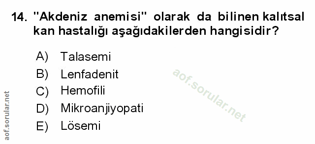 Soru 14
