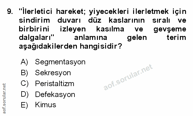 Soru 9