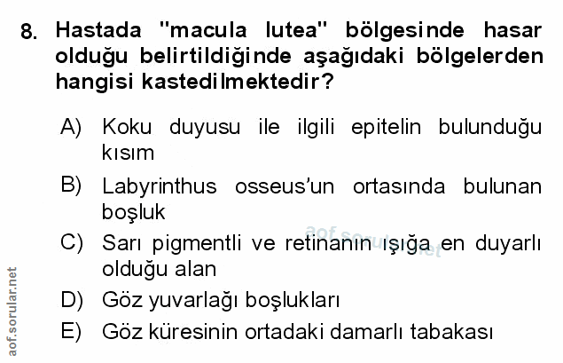 Soru 8