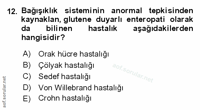 Soru 12