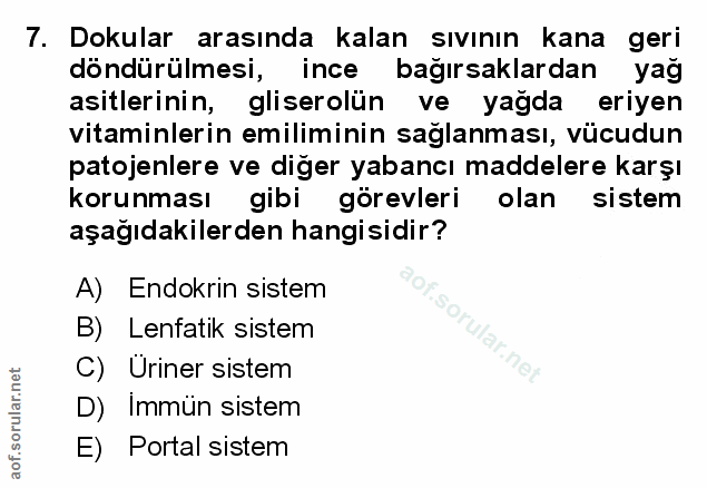 Soru 7