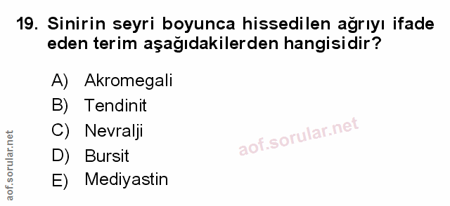 Soru 19