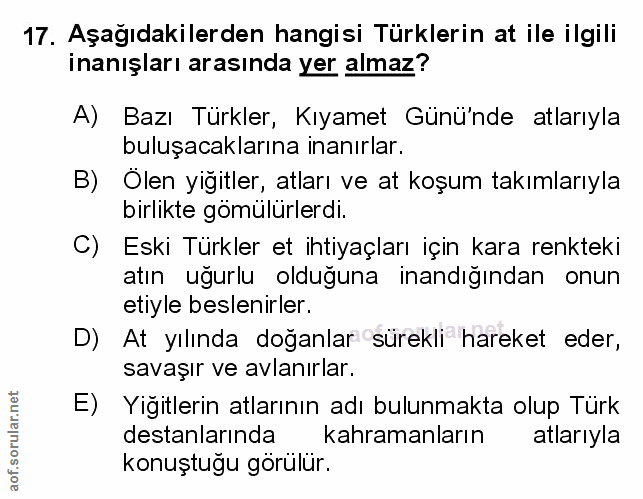Soru 17
