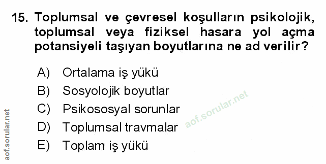 Soru 15