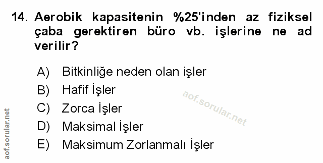 Soru 14