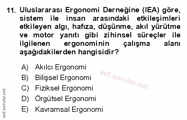 Soru 11