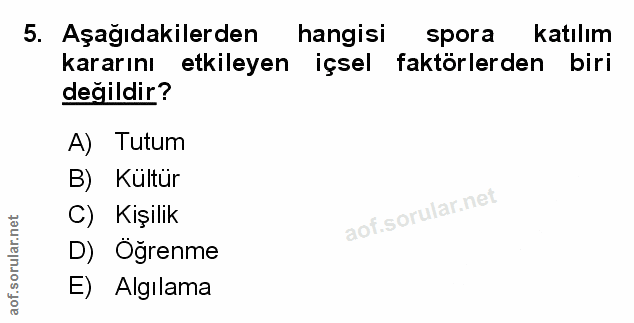 Soru 5