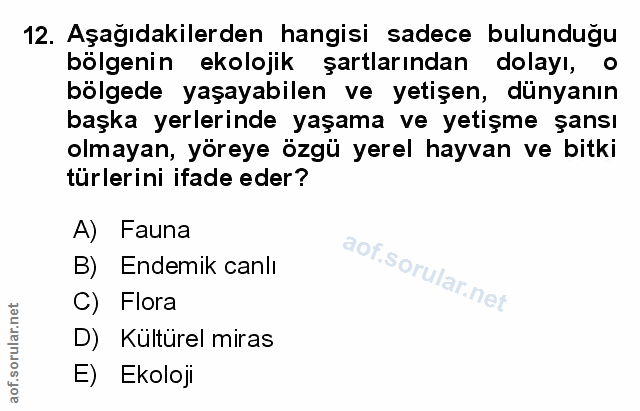 Soru 12
