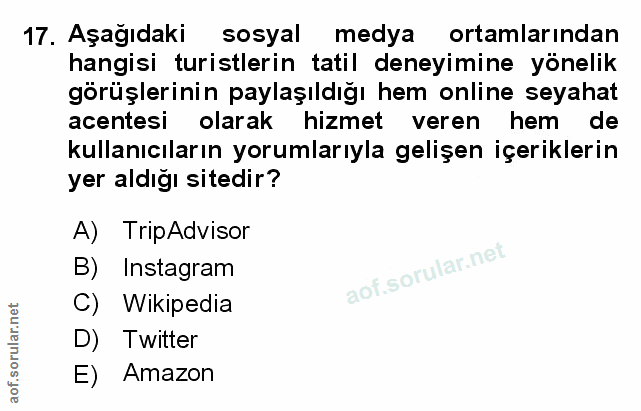 Soru 17