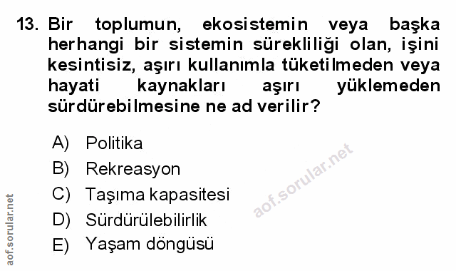Soru 13