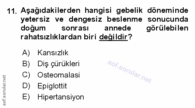 Soru 11