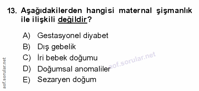 Soru 13