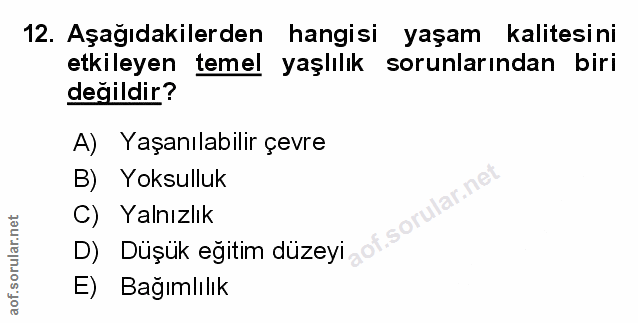 Soru 12