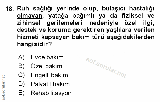 Soru 18