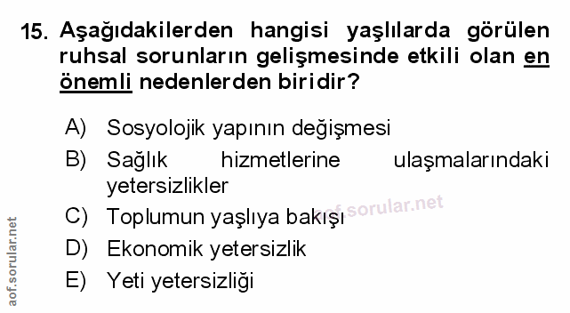 Soru 15