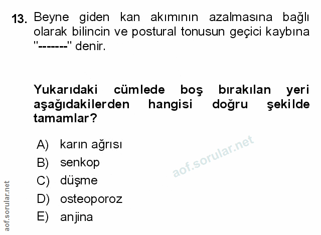 Soru 13