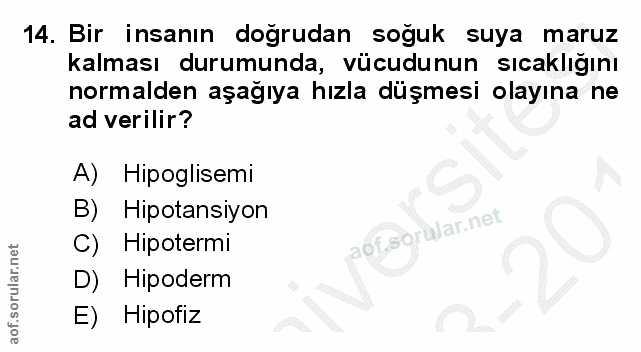 Soru 14