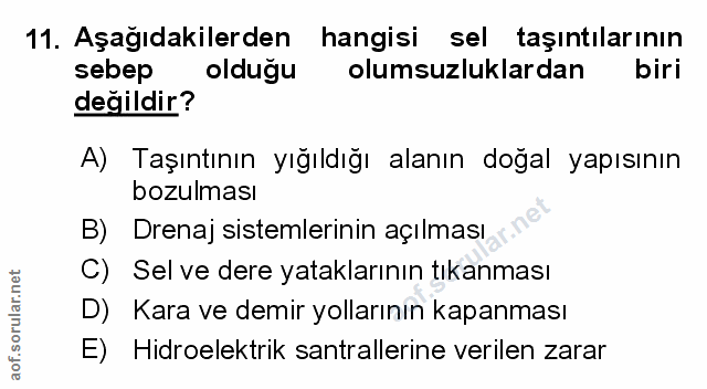 Soru 11