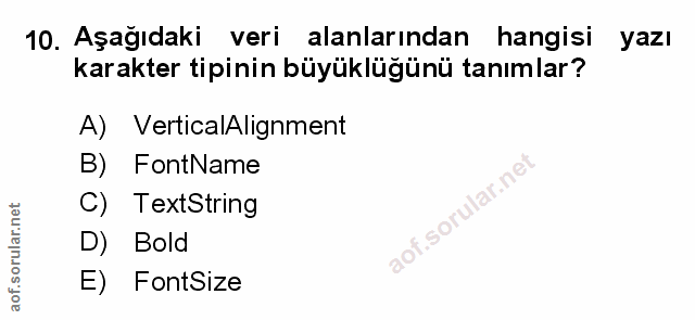Soru 10