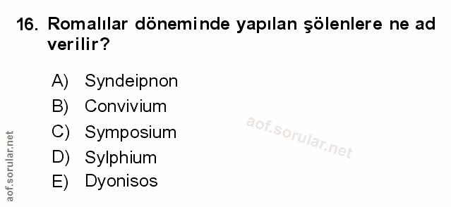 Soru 16