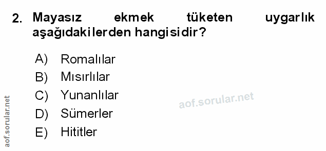 Soru 2