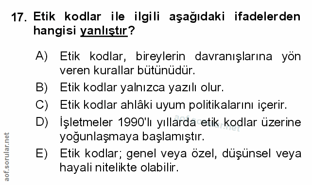 Soru 17