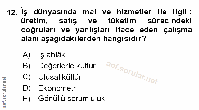 Soru 12