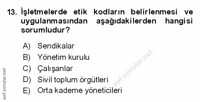 Soru 13