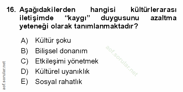 Soru 16