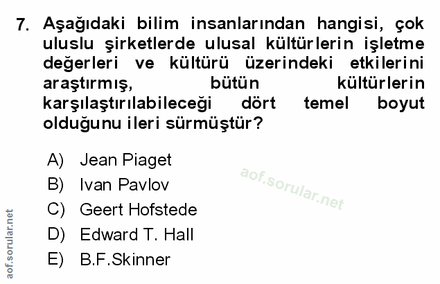 Soru 7