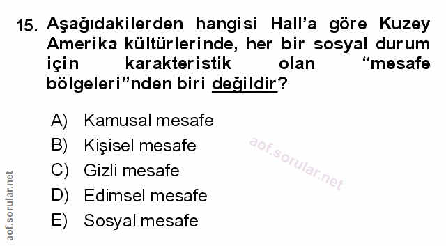 Soru 15