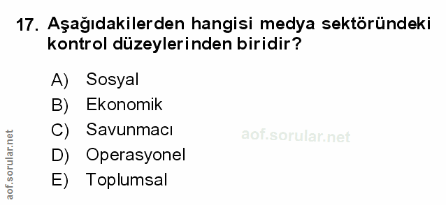 Soru 17