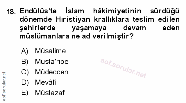 Soru 18