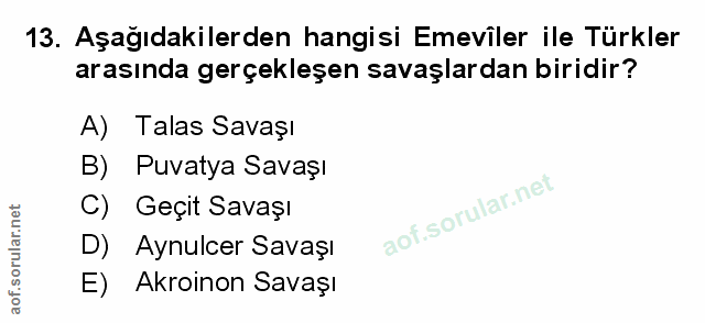 Soru 13