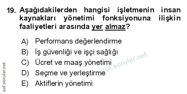 Soru 19