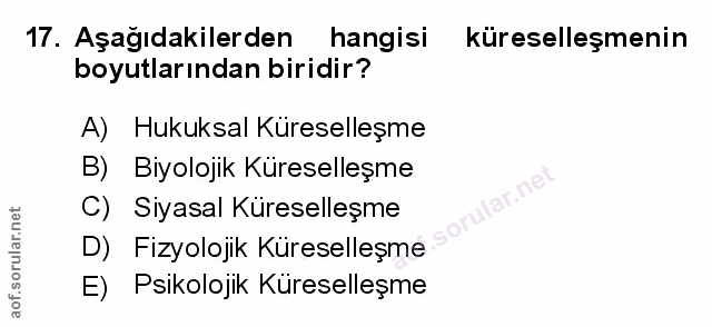 Soru 17