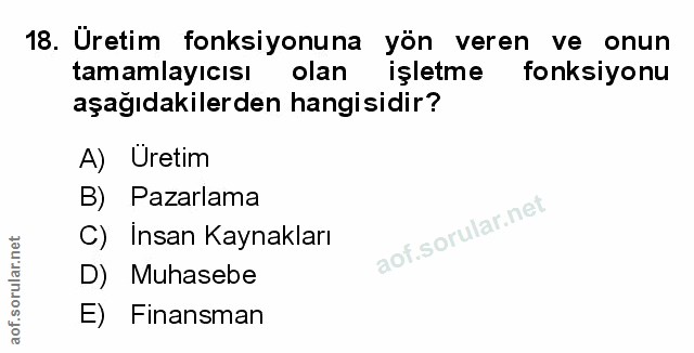 Soru 18