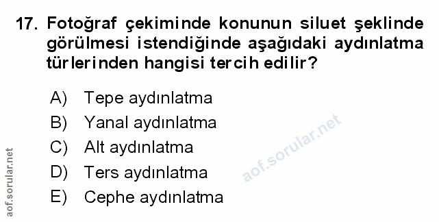 Soru 17