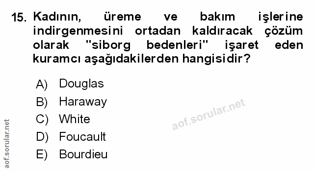 Soru 15