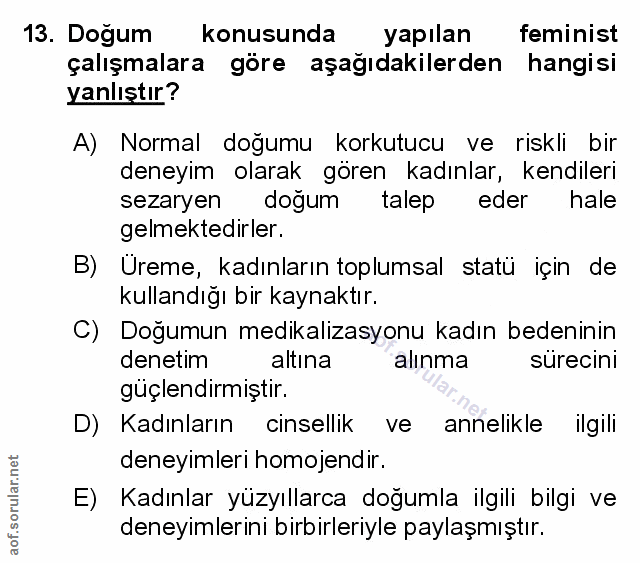 Soru 13