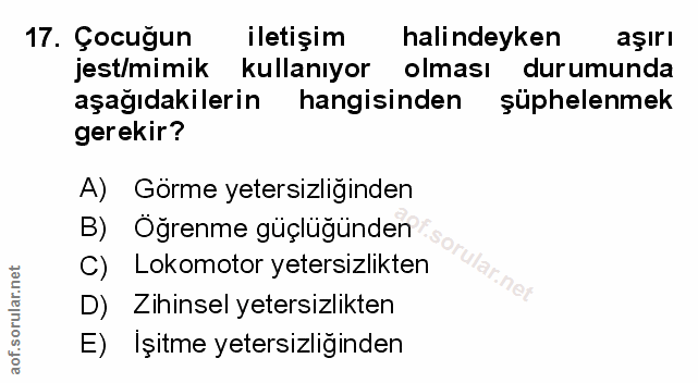 Soru 17