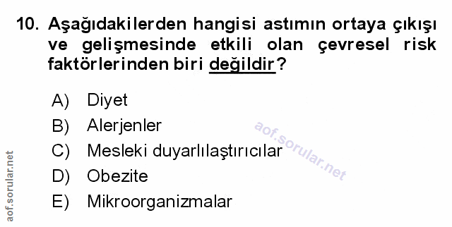 Soru 10