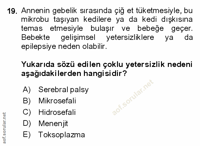 Soru 19