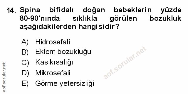 Soru 14